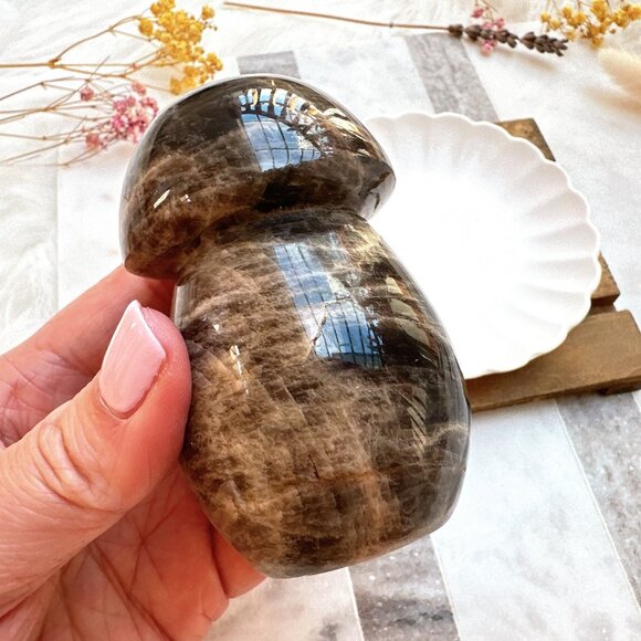 Gorgeous Black Moonstone Mushroom Carving - Picture 4 of 8